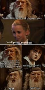 #harry potter #hp #sirius black #marauders #harry potter memes #i think it was the only big black dog i had heard of as a kid #so i was like #ah yes #this large lump of fur indicates death #queued. Found In Someone S Pinterest Folder Called 20 Extremely Funny Harry Potter Memes 4panelcringe
