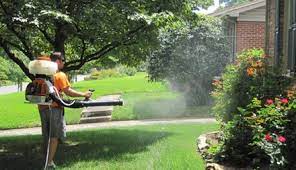 While our expertise may be in pest control, our real service is bringing you peace of mind. Atlanta Pest Control Deals In And Near Atlanta Ga Groupon