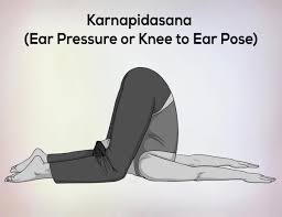 In chaos theory, the butterfly effect is the sensitive dependence on initial conditions in which a small change in one state of a deterministic nonlinear system can result in large differences in a later state. Karnapidasana Ear Pressure Pose Steps Benefits Precautions Nexoye