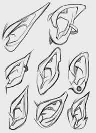 Ears Pointy Piercings Drawing Ears Anatomy Art Reference Photos Sketches Anatomy Sketches