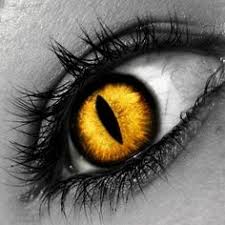 Amber Eye Art Sculptures Philip Moerman Www Moermansculptures Be Eye Art Aesthetic Eyes Cool Eyes