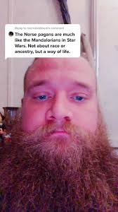 Reply to @microbialdoom #guardianviking #leagueoftyr #fypシ #botr #norsetok