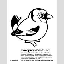 Select from 35870 printable crafts of cartoons, nature, animals, bible and many more. European Goldfinch Coloring Page Fun Free Downloads Activity Pages Birdorable