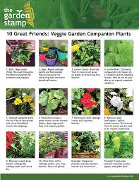 Ten Great Companion Plants Garden Companion Planting Companion Planting Plants