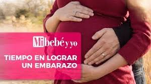Cuanto Tiempo Se Tarda En Quedar Embarazada Youtube