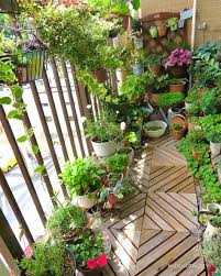 朝からベランダの片付けして少しスッキリしました 昨日のpicの子メダカですが もしかしたら前のメダカ 先週殺虫剤で全滅したメダカ の子供なのかもです 水草に卵が残ってたのだと思います ますます子メダカの成長