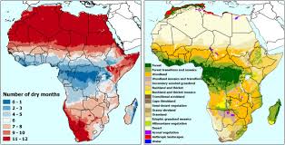 As vegetation encompasses all manner of plant species, they produce. An Above Ground Biomass Map Of African Savannahs And Woodlands At 25 M Resolution Derived From Alos Palsar Sciencedirect