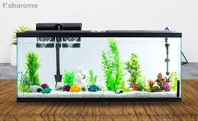 Quality plastic aqaurium frames wholesale prices How To Set Up A Fish Tank At Home The Complete Guide