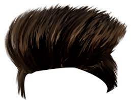 Hair Png For Picsart Google Search Photoshop Hair Download Hair Free Hair