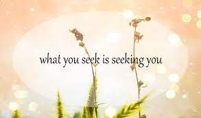 Maybe you would like to learn more about one of these? What You Seek Is Seeking You Luanne Mellish