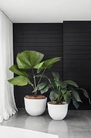 45 Plants Vase Ideas That You Can Try In Your Apartment Balcony 10 Galeryhome Com In 2020 Interior Plants Indoor Plants Plant Decor Indoor