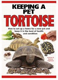 | greek tortoise the greek tortoise can only grow up to 5 to 8 inches with a lifespan of 20 years or more. Interpet Keeping A Pet Tortoise Book