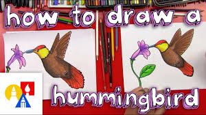 The most miniature variety of this bird, a hummingbird, is up to 5 cm long, and it weighs only 2 grams. How To Draw A Hummingbird Youtube