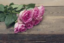 Flowers that represent love for a child. 16 Romantic Flower Meanings Symbolism Of Different Kinds Of Flowers Woman S Day