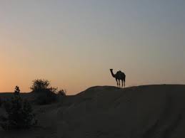 A ship camel is an external flotation tank that can be fitted to a ship to increase her buoyancy or reduce her draught. The Ship Of The Desert Picture Of Dubai Emirate Of Dubai Tripadvisor