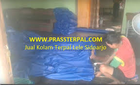 Jual Kolam Terpal Lele Sidoarjo Prassterpal Com