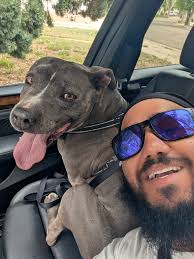 Found dog in Pueblo backyard, seeking owner