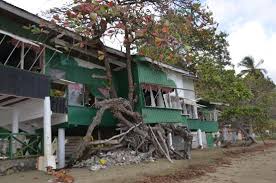 See 932 unbiased reviews of jemma's seaview kitchen, rated 4 of 5 on tripadvisor and ranked #1 the sea breeze is cooling in the midday sun and.the restaurant has unobstructed views of little tobago and goat island. Jemma S Is Truly Built Around The Tree Right On The Beach Picture Of Jemma S Seaview Kitchen Speyside Tripadvisor