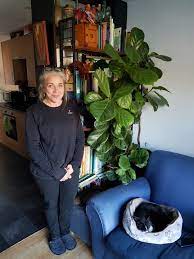 Episode 133: a houseplant tour with Mercy Morris — Jane Perrone