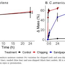 Image result for Cantinoa americana