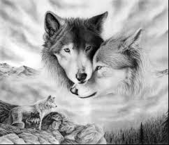 Alpha Male And Female Wolf Mates Wolf Love Wolf Images