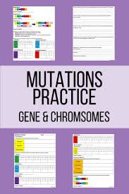 Levels Of Biological Organization From Smallest To Largest Mutations Practice Biology Worksheet Middle School Science Class Middle School Lesson Plans