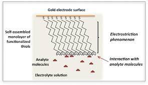 Which are the dominant market participants in the cro market and their market share contribution? Study On Self Assembled Monolayer Of Functionalized Thiol On Gold Electrode Forming Capacitive Sensor For Chromium Vi Determination Springerlink