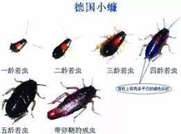 See more of 臺南市立民德國中 on facebook. å…³äºŽå¾·å›½å°è Šçš„çŸ¥è¯†