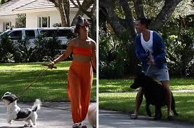 Petunia has gathered her own fan base through her instagram account and the stories. Shawn Mendes And Camila Cabello Dog Walking