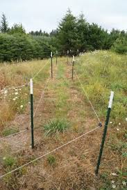 We show you how to install an electric fence safely and effectively. Electric Deer Fence Srn