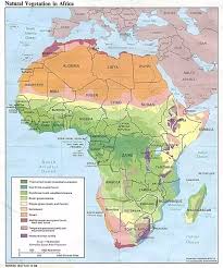 Africa images map of africa made of fabric fond d ecran and. Jungle Maps Map Of Africa With Wakanda