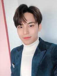 Seventeen's mingyu became a trainee in 2011, and made his debut with seventeen in 2015. K Pop Predictions On Twitter Lisa Bias In Seventeen Is Mingyu Lalisa Mingyu Whosbiaswho Kpoppredictsnew