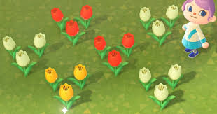 Check Out How To Get Breed All Tulip Colors In Animal Crossing New Horizons Switch Acnh Includes How To Breed A In 2020 Animal Crossing Tulip Colors Orange Tulips