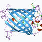 Green fluorescent protein