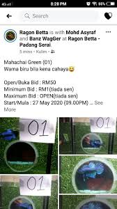 We did not find results for: Ragon Betta Padang Serai Posts Facebook