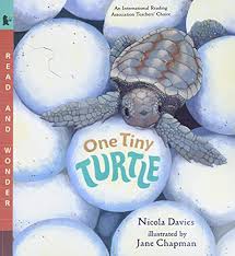By rachel halpern bath book. Top 16 Best Children S Turtle Books Of 2021 Reviews