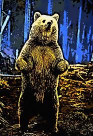There are a lot of unusual animals in the abc zoo. Alphabet Zoo Did You Know Home Facebook