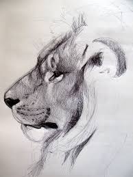 Find helpful customer reviews and review ratings for wolf coloring book: 40 Beautiful And Realistic Animal Sketches For Your Inspiration