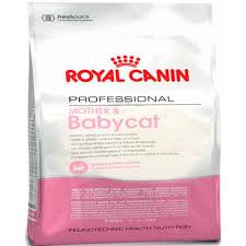 Mother Babycat Professional Yavru 10 Kg