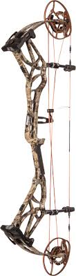 Black Bear Shot Placement Archery Moment Compound Bow Bear Archery Bear Archery Compound Bow Archery