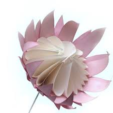 Freshly Found Paper Protea Big Paper Flowers Paper Flowers Diy Paper Flowers