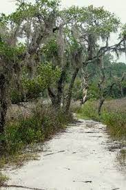 46 Best Real Estate Images In 2019 Real Estate Texas House Plans Dog Trot House Plans