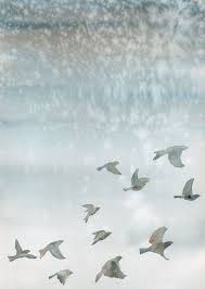 Blue Sky Birds Flying In The Sky Images Flying Birds Blue Gray Winter Sky By Nauticbynature Birds Flying Watercolor Bird Birds Painting