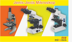 Nutzen sie ihr smartphone als ein handliches mikroskop! Jenis Jenis Mikroskop