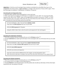 Gene Mutation Lab
