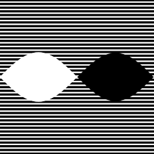 Image result for illusion pictures
