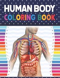 View, isolate, and learn human anatomy structures with zygote body. Human Body Coloring Book Human Body Anatomy Coloring Book For Kids Boys And Girls And Medical Students Human Body Coloring Book For Boys Girl Paperback Books Inc The West S Oldest
