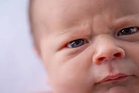 Narmin's Photography Blog