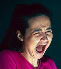 Box Jellyfish Thailand, Malaysia, Philippines & The Region