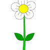 Watering growing plant with watering can animated clipart: 1